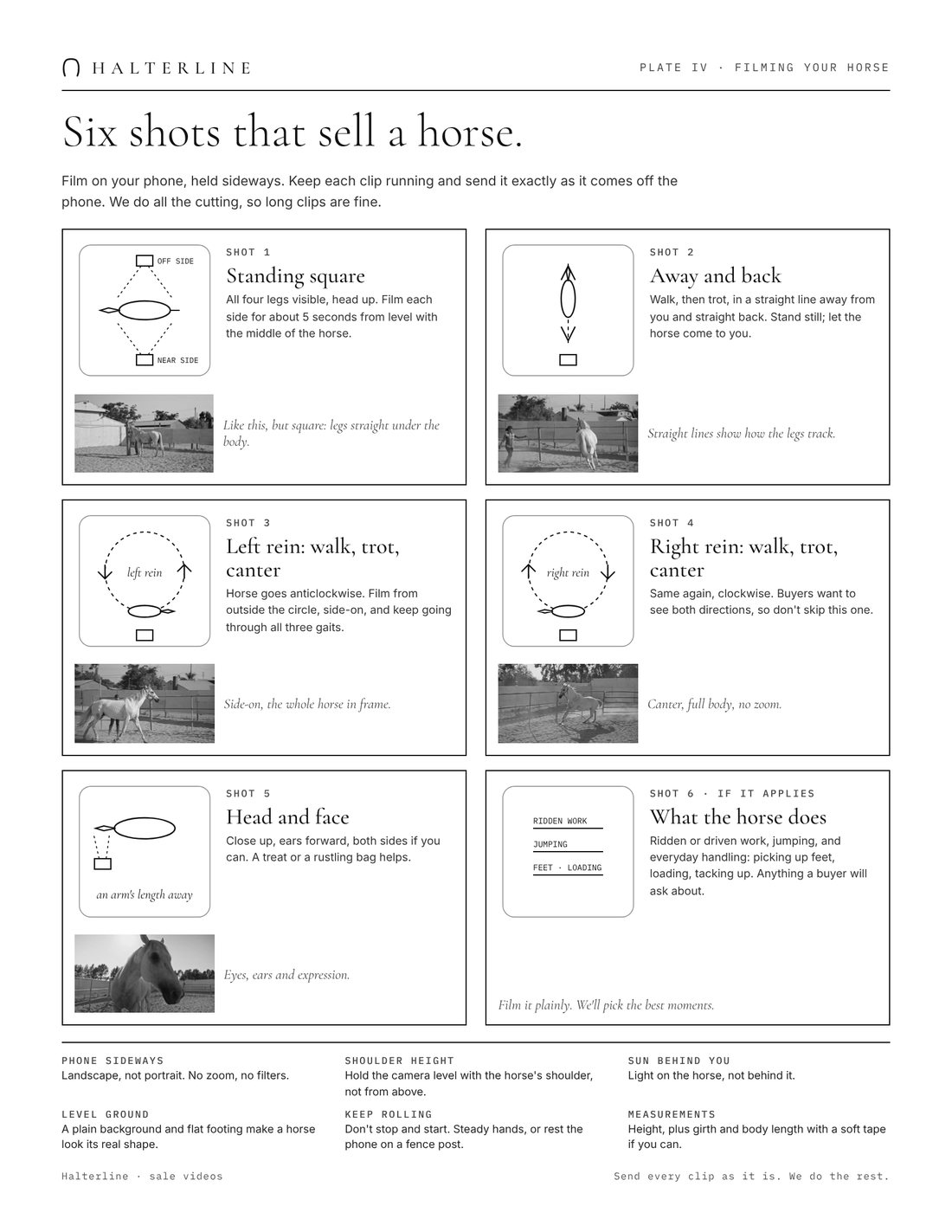 The Halterline filming guide: six shots (standing square, away and back, left rein, right rein, head and face, what the horse does) with tips on phone position, light and measurements